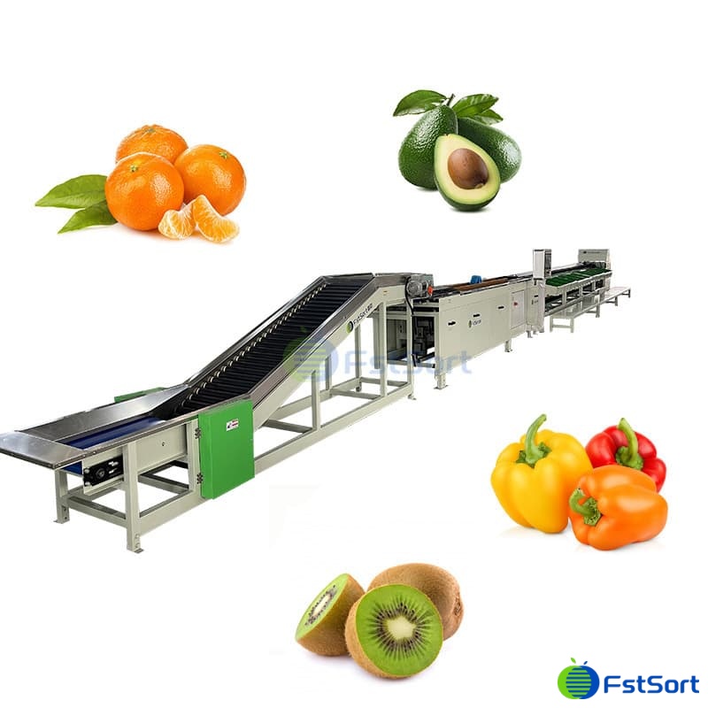 images/1763964971667kiwi processing.jpg